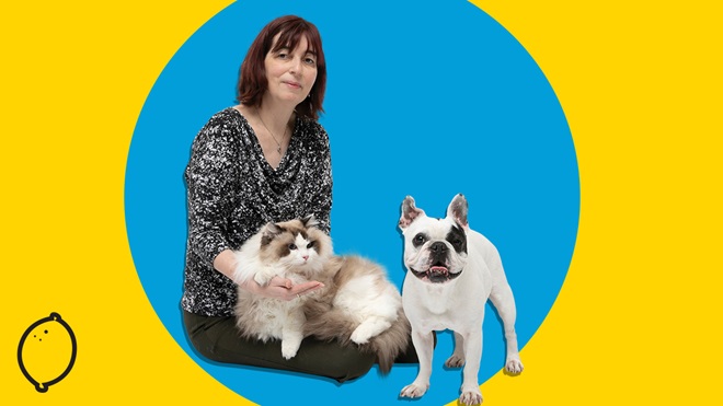 Shonkys Homepage pet insurance 2019 lead size